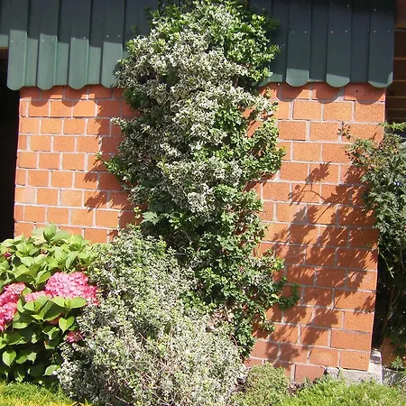 Ferienhaus Rosenblute Eggstedt